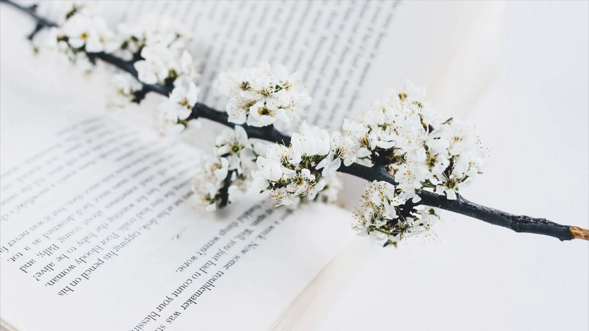 Titelbild zum Artikel „Oster-Wunder 2025: Ein kleines Abenteuer – ein großes Ergebnis“ von Michael Sell. | Photo Aufgeschlagenes Buch und Frühlingsblumen © by Marco Verch under Creative Commons 2.0